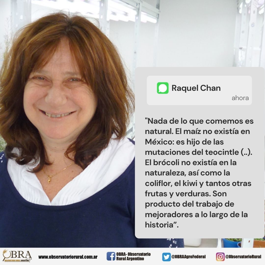 OBRAAgroFederal's tweet photo. #BuenLunes #Argentina 🇦🇷
Orgánicos vs Transgénicos: el desafío de combatir el hambre
Estimaciones de la FAO indican que cerca de 690 millones de personas en el mundo sufren hambre. Se estima para 2030 que superará los 840 millones de personas.

Nota 👉 https://t.co/WIsXRSMIXl https://t.co/opkuvKhAIp