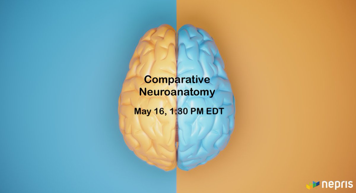 Ascend Neuroscience tweet media