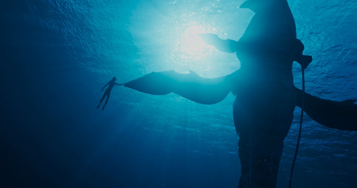 Grimkujow_'s tweet photo. Olala le trailer de Avatar 2 est magnifique, la musique liées aux visuels crée une ambiance de fou James Cameron va nous refaire rêver 13 ans après le premier https://t.co/6h6gp18HpZ