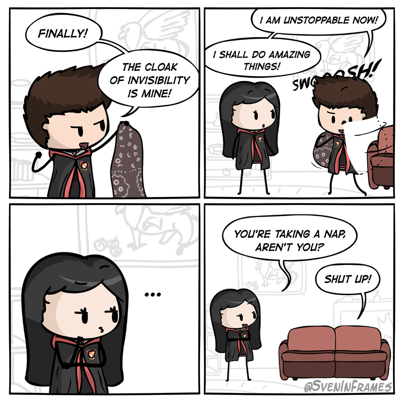 The only correct way to use the invisibility cloak 🧙‍♂️
