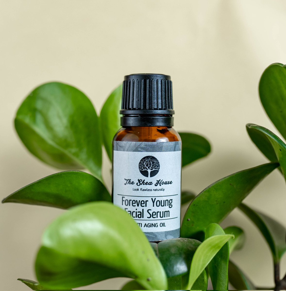 TheSheaHouse's tweet photo. Stay forever young with our Facial Serum made with superior carrier oils and essential oils for different skin types.

🏷: 25,000Ugx
Call/ Whatsapp: 0754563949/0755827316 for delivery or visit our store at Yamasen restaurant, Tankhill Muyenga.
#TheSheaHouse #skincare https://t.co/dqgVKjFt9G