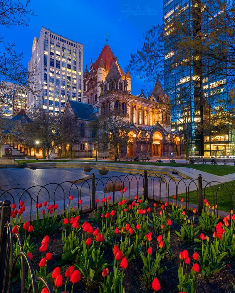gmcphoto's tweet photo. The tulips are out at Copley Square!  
#bluehour #Canon https://t.co/THbrFjX9c1