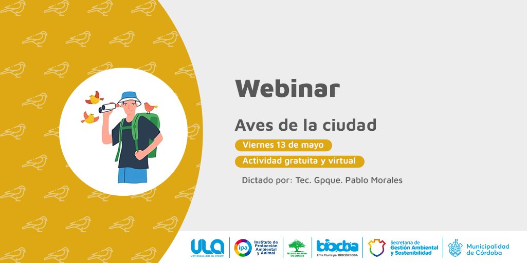 En la antesala del Global Big Day 2022, estaremos conversando con Pablo Morales, Guardaparque de la Reserva San Martín, sobre las aves que encontramos con frecuencia en la ciudad de Córdoba, para conocer un poco más y aprender a reconocerlas 🐦💚