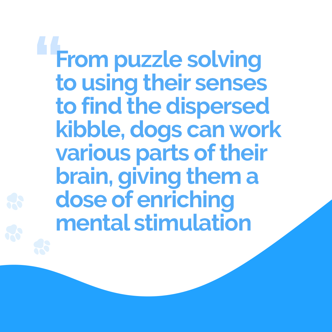 PupPod's tweet image. #Post-pandemic, some owners are leaving their #dog alone for the first time.   

#PupPod is useful for #pet parents wanting to keep their dogs occupied &amp;amp; mentally stimulated when they're alone, as well as #dogtraining.

Find out more -&amp;gt; puppod.com/blogs/puppod-b…