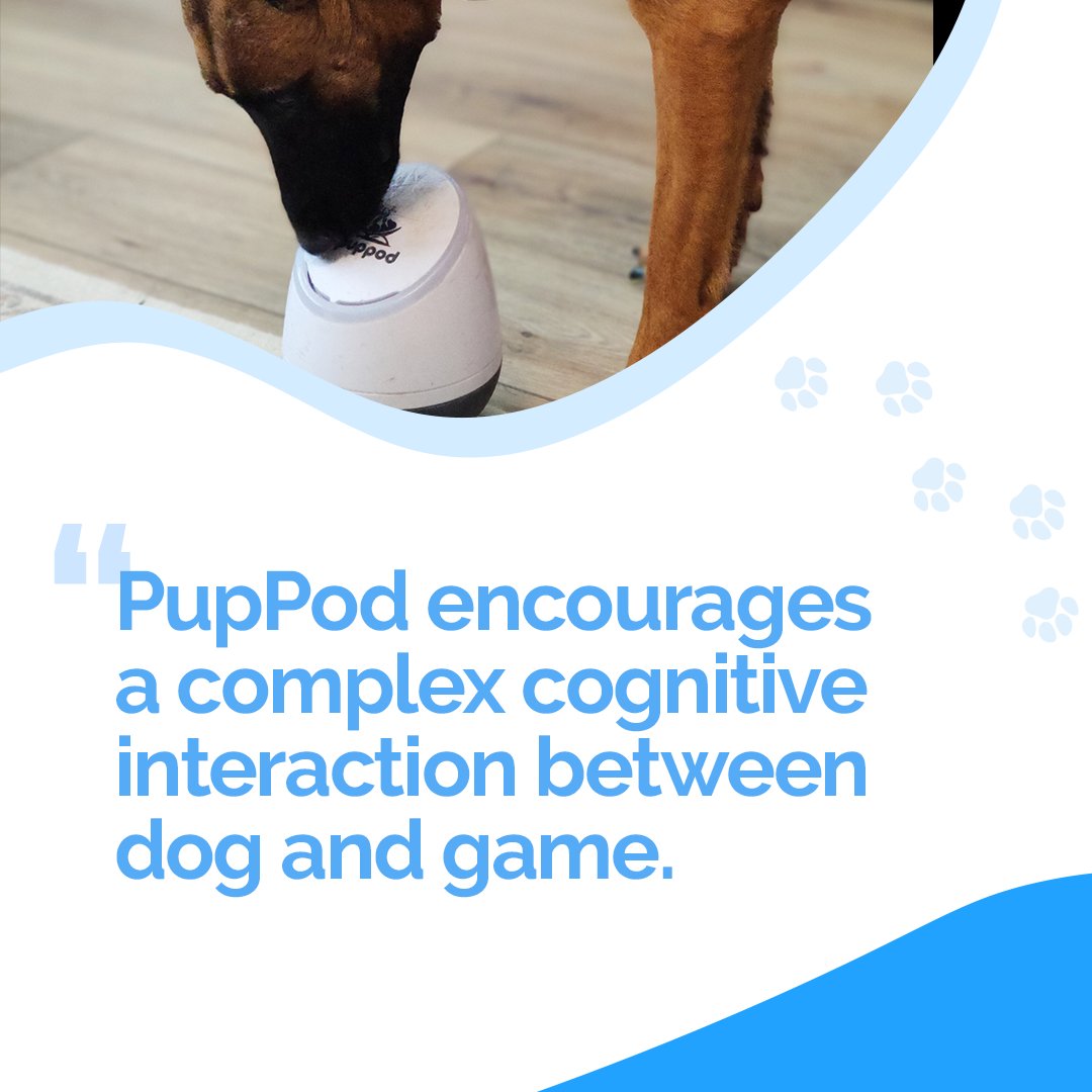 PupPod's tweet image. #Post-pandemic, some owners are leaving their #dog alone for the first time.   

#PupPod is useful for #pet parents wanting to keep their dogs occupied &amp;amp; mentally stimulated when they're alone, as well as #dogtraining.

Find out more -&amp;gt; puppod.com/blogs/puppod-b…