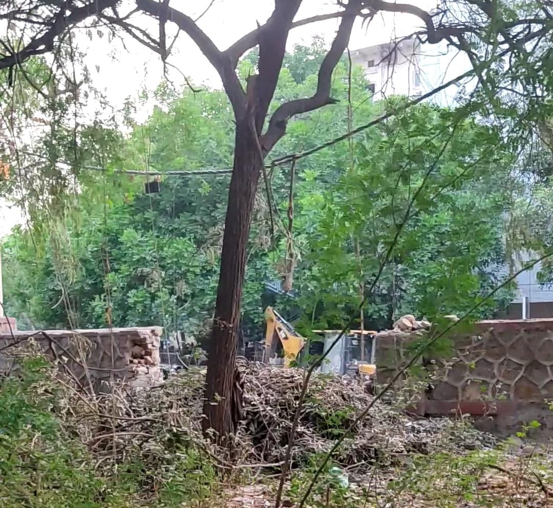 ThereIsNoEarthB's tweet photo. We asked for action and they gave us another huge break in the wall :(
#SaveRidgeForest https://t.co/CcJjq6vL4m