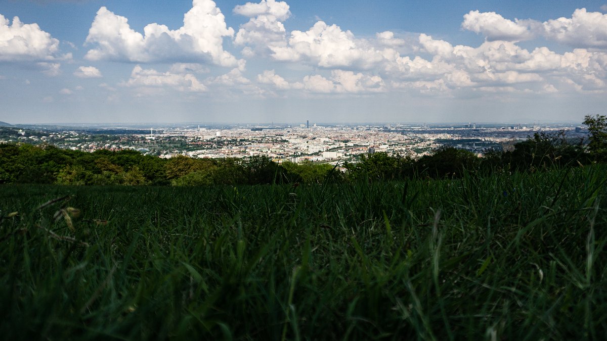Vienna, and lots of dark grass in the foreground. Was nice out there. See ya.
#photography #landscape #view #hiking