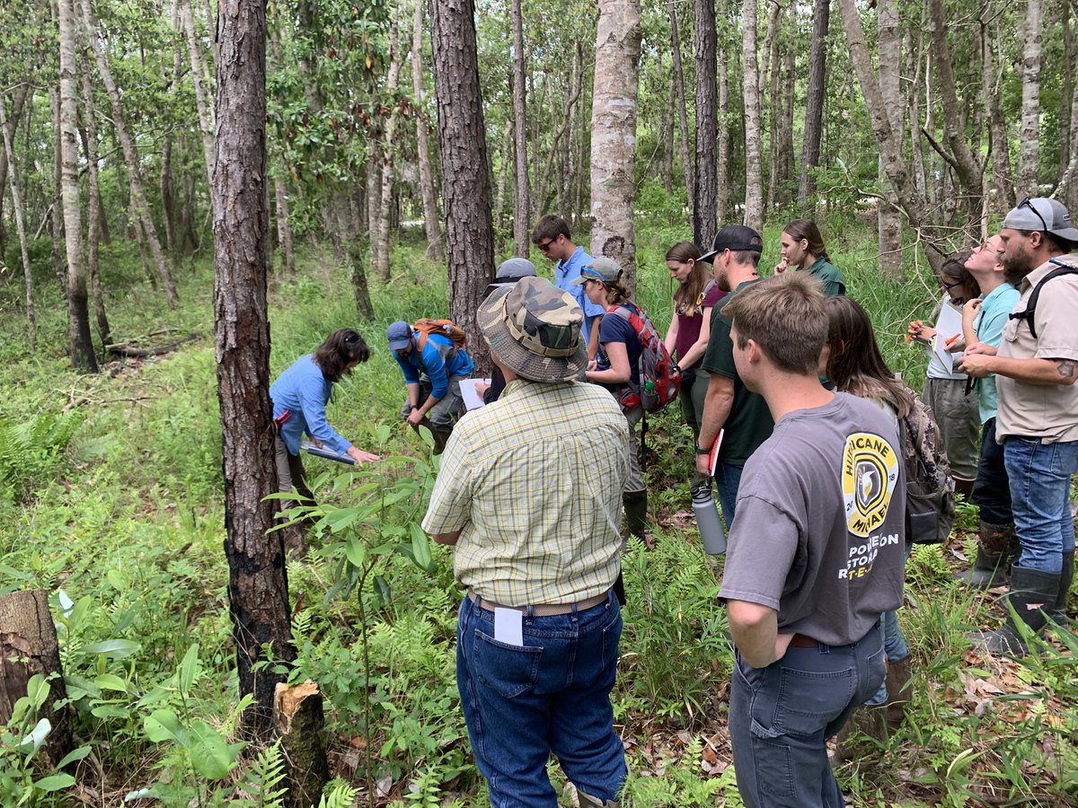 brantef's tweet photo. Day 1 Wetland Plant ID with Gena Todia (&amp; Ashley Campbell) #wetland #hydrophyte Gorgeous bay head and look at all those ferns @AuburnWater https://t.co/AjDCSrxm3T