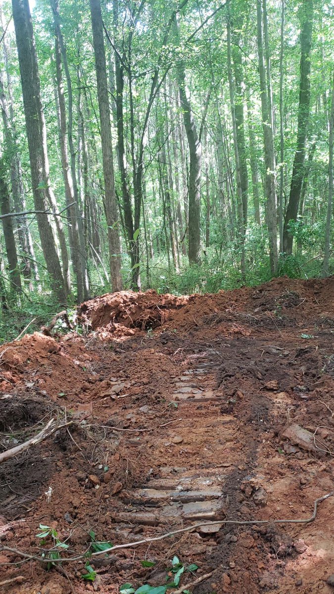 Defend the Atlanta Forest/Stop Cop City tweet media