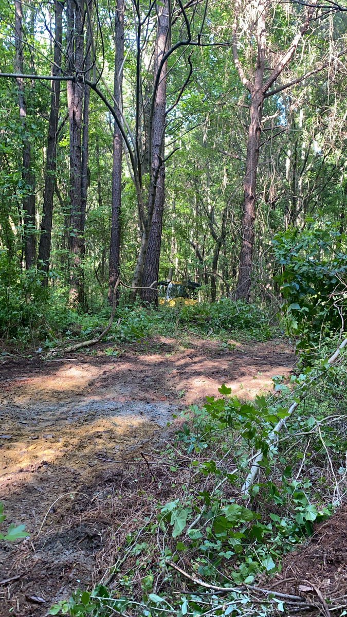 Defend the Atlanta Forest/Stop Cop City tweet media