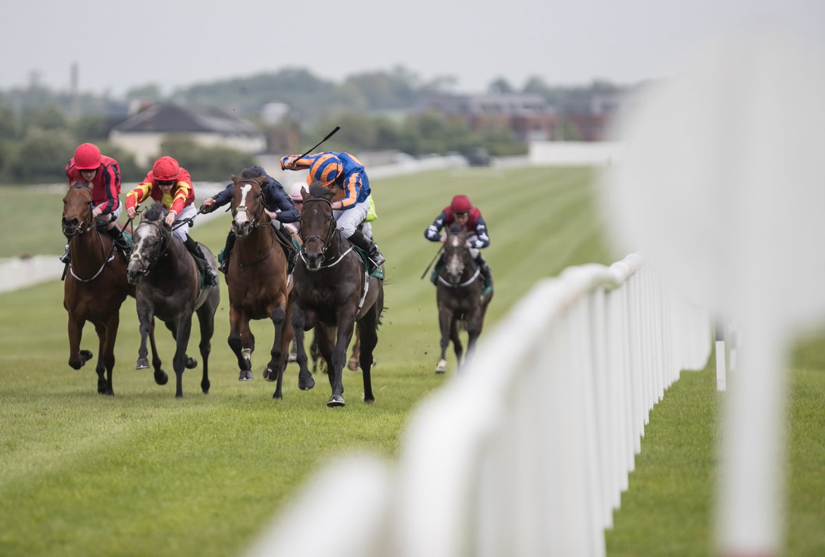 NaasRacecourse tweet picture