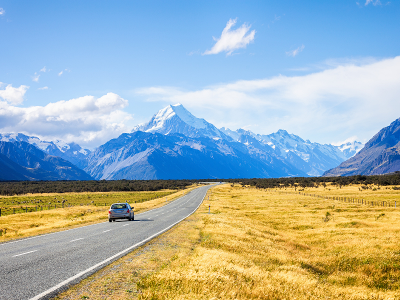 TuruhiCommunity's tweet photo. Coddiwomple
To travel in a purposeful manner towards a vague destination.
#linquistics #traveling #roadtrip https://t.co/xFwzPKwwYj