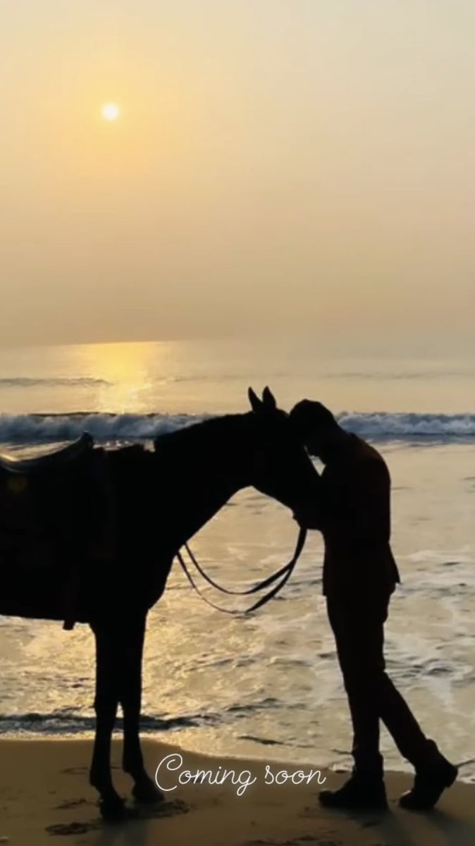 heartsforneroo's tweet photo. Nero ♥️ and the horse

Fun trivia: this is @NiroopNK ‘s first time riding a horse for the photo shoot and he discovered he’s got the flair for horse riding during the shoot.

What’s the name of the horse Nero?

#Niroop
#bbultimate https://t.co/zRQrFcnIm7