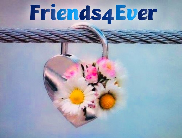 💛 Team Follow4Follow 💛 tweet media