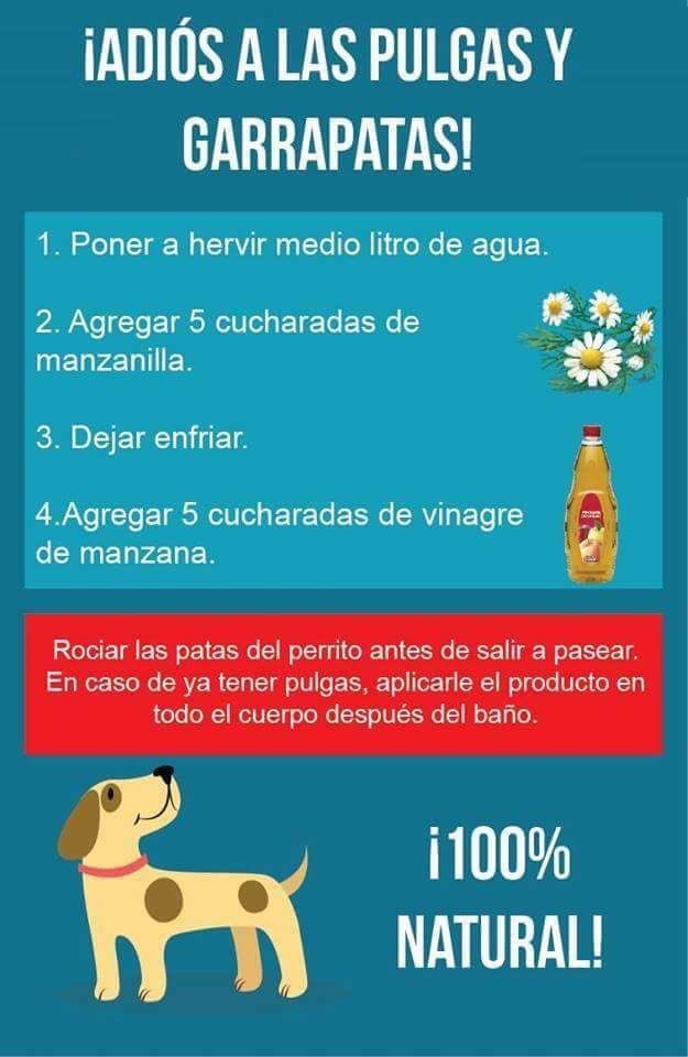 Sagui tweet media