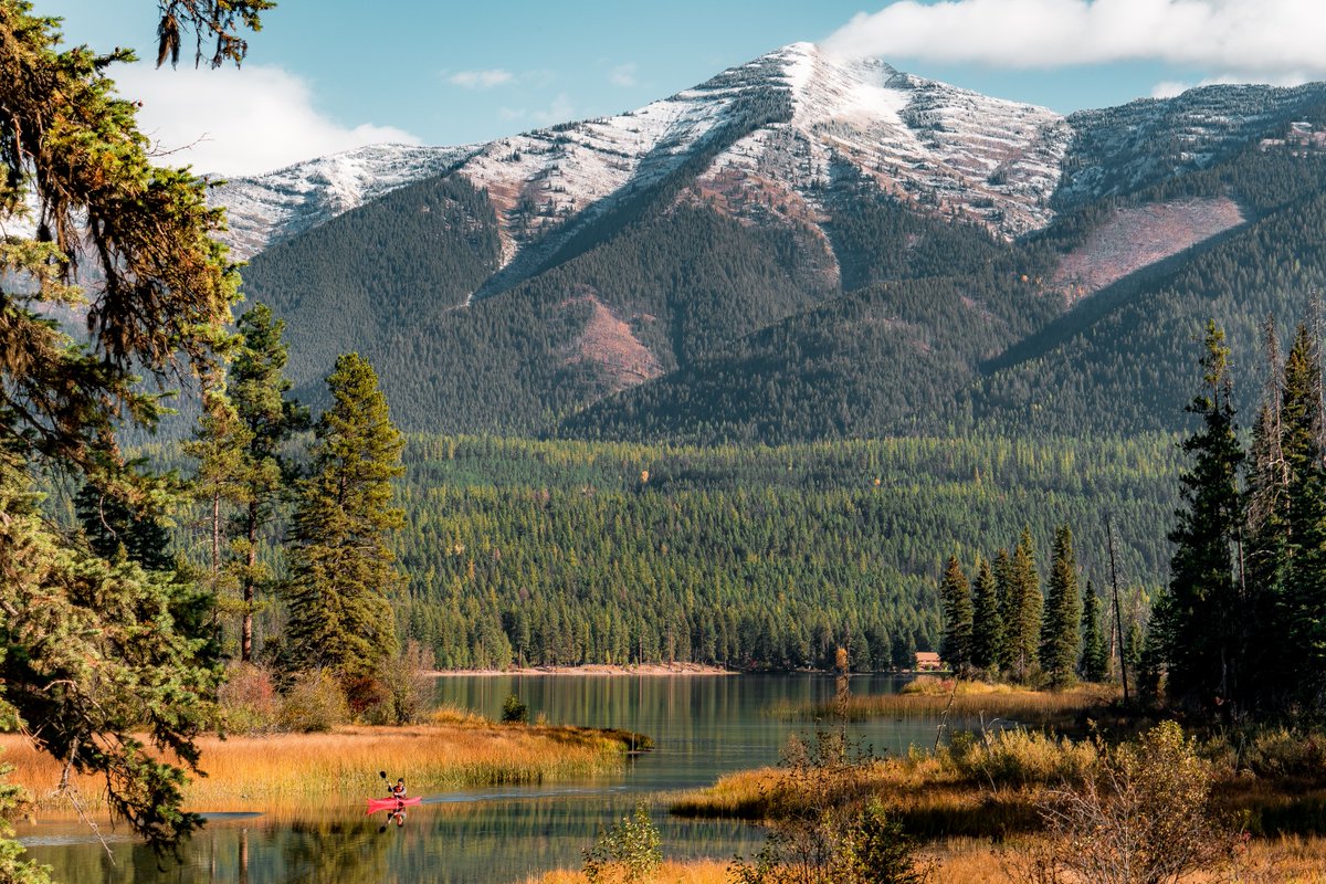 JSustForestry's tweet photo. The @forestservice is a leader in sustainable forest management. 

Check out the newest study in JSF, which discusses how perspectives on sustainable #forest management has developed within the US!

#Forestry | @forestservice

https://t.co/sufcIwnUXt https://t.co/GgGbskIqDK