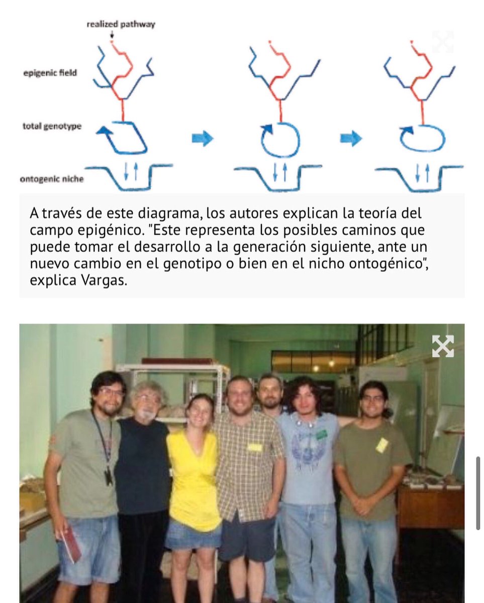 Mauricio Alvarez 🎨🌿Science Illustrator (@arbalbel) on Twitter photo Gran trabajo de estimado master Alexander Vargas Milne en “novedoso estudio sobre evolución que concitó el interés de Humberto Maturana”. Mi humilde colaboración con figuras 😊🎨 en tremendo estudio de <a href="/RedPaleo_UChile/">Red Paleontológica U. de Chile</a> Gran trabajo de estimado master Alexander Vargas Milne en “novedoso estudio sobre evolución que concitó el interés de Humberto Maturana”. Mi humilde colaboración con figuras 😊🎨 en tremendo estudio de <a href="/RedPaleo_UChile/">Red Paleontológica U. de Chile</a>