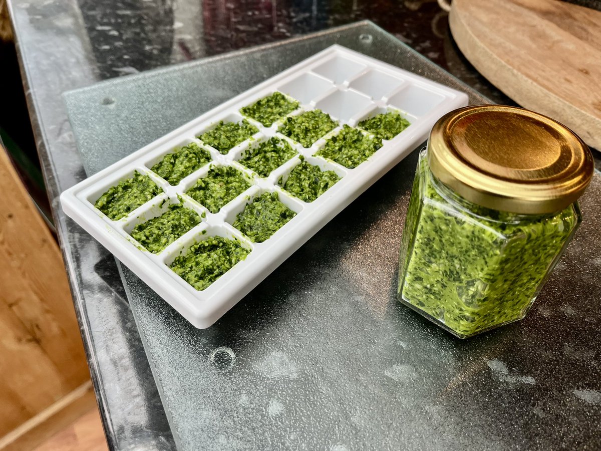 Josieb123's tweet image. Lacey and I went for a walk in Wales today. We did some foraging in the way - we now have wild garlic pesto and frozen cubes that can be added to meals 😋 #foragingfun