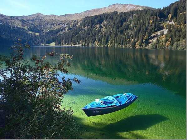 LMPositif's tweet photo. 🇳🇿 Situé en Nouvelle-Zélande, Blue Lake est le lac le plus clair du monde. La visibilité à l'intérieur du lac peut atteindre 80 mètres, ce qui signifie que l'eau apparaît aussi claire que de l'eau minérale ! 💙 https://t.co/bpB9CMs6YS