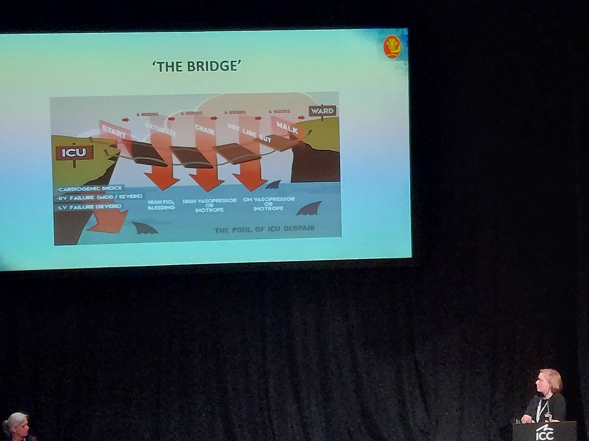 MrsK78's tweet photo. @TuftysTweets presenting the infamous rope bridge @SCTSUK #scts2022 massive well done! #CSICU #wemendbrokenhearts https://t.co/1ojDPOglxu