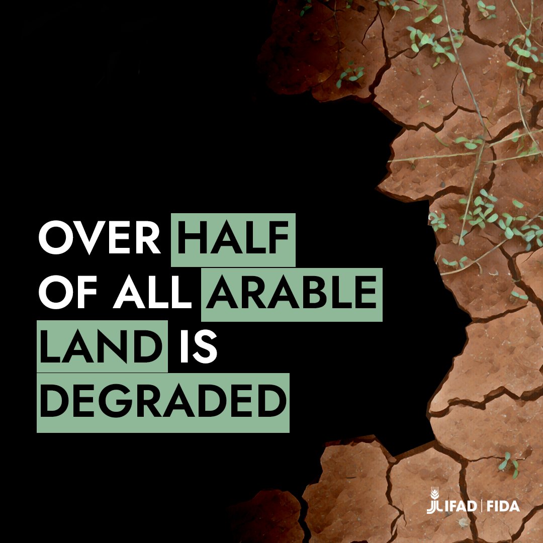 IFAD's tweet photo. Land degradation is one of the biggest threats to the livelihoods and food security of smallholder farmers around the world.
 
#United4Land | #COP15 https://t.co/YkFYuSfhyC