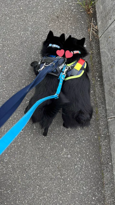 💕 