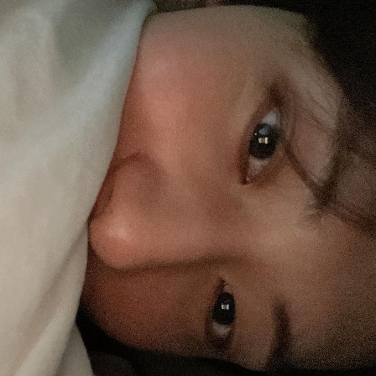 Kittenhwang tweet media