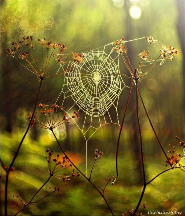 Ethical Soul tweet media