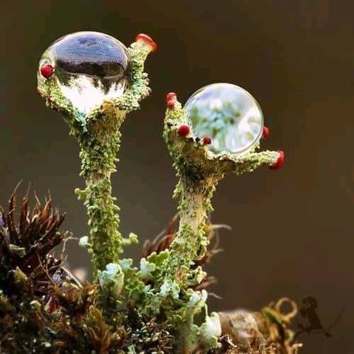 Ethical Soul tweet media