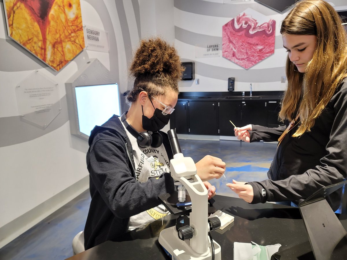 Rolando Curabo, PhD tweet media