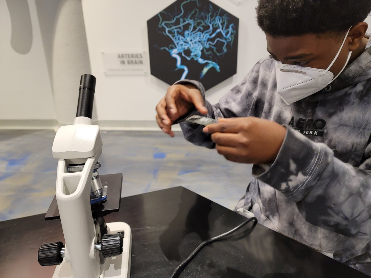 Rolando Curabo, PhD tweet media