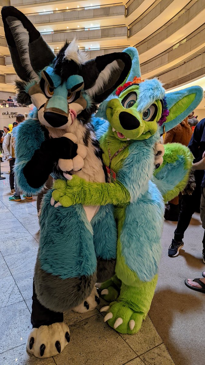 KovuTheHusky's tweet photo. Happy #MoreFurLessMonday from #FWA2022! I finally got to meet @Thine_Vulpine and snap a photo! 🐶🦊

I think cute runs in the family. 🤔🤭

Hope everyone had a good weekend at FWA! 💚💙

📷 @NightWolf1298
🪡 @morefurless https://t.co/QSVNfHkgnA