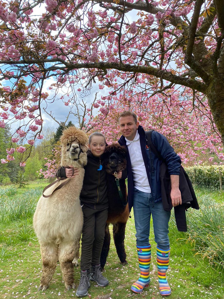 RainbowTrustCC's tweet photo. William, said: "We really do have the best job in the world!"

We would like to say a huge thank you to @alpacaly for another amazing experience for a child we support.

Please consider donating to Rainbow Trust today: https://t.co/OQkgrGmyJX https://t.co/2dx0DOHQ4M