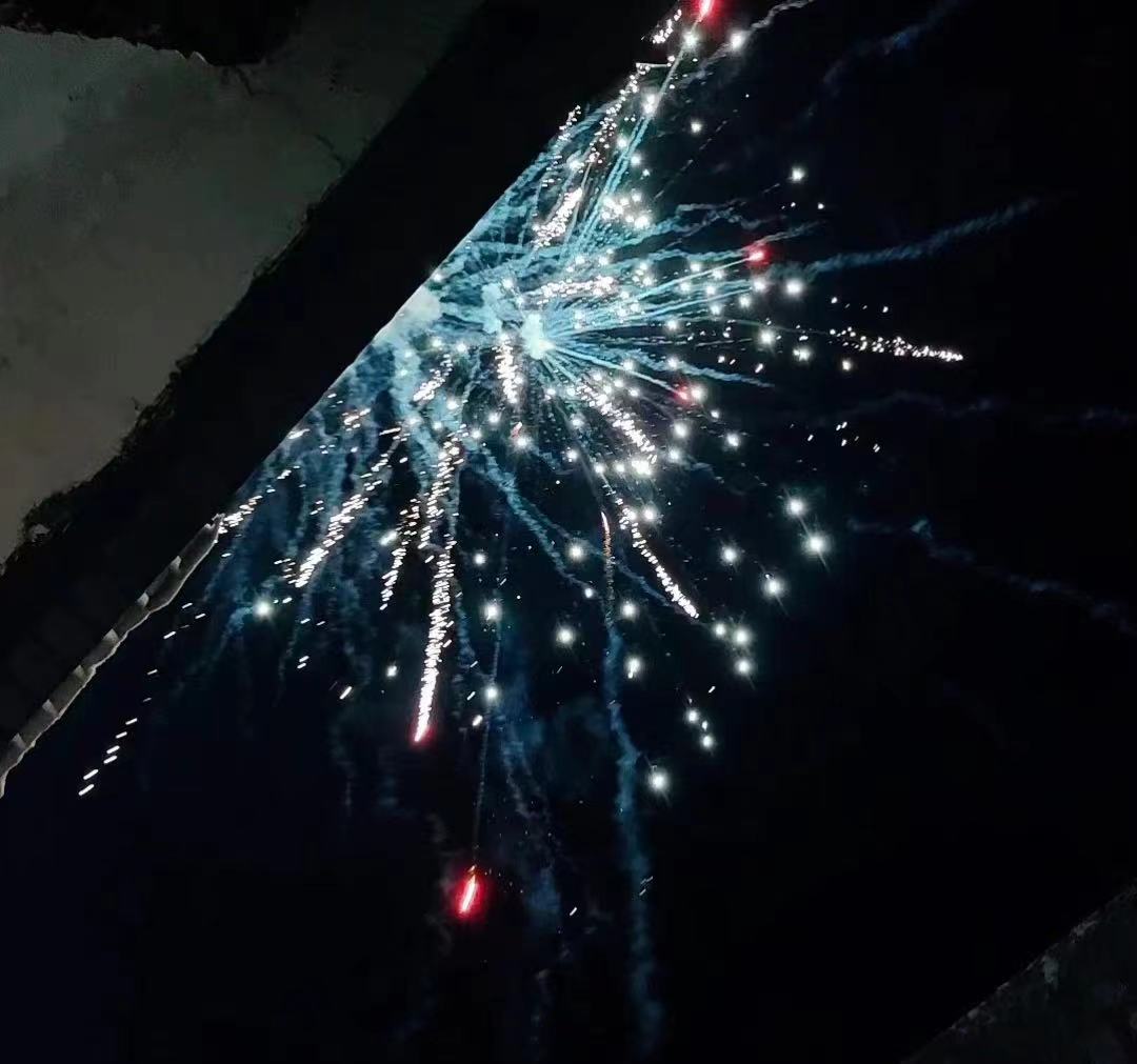 flowerlxp's tweet photo. #YourDaytimeFireworks 过年时候拍的烟花 @trlab_ @CaiGuoQiang https://t.co/2RrrV8eV56