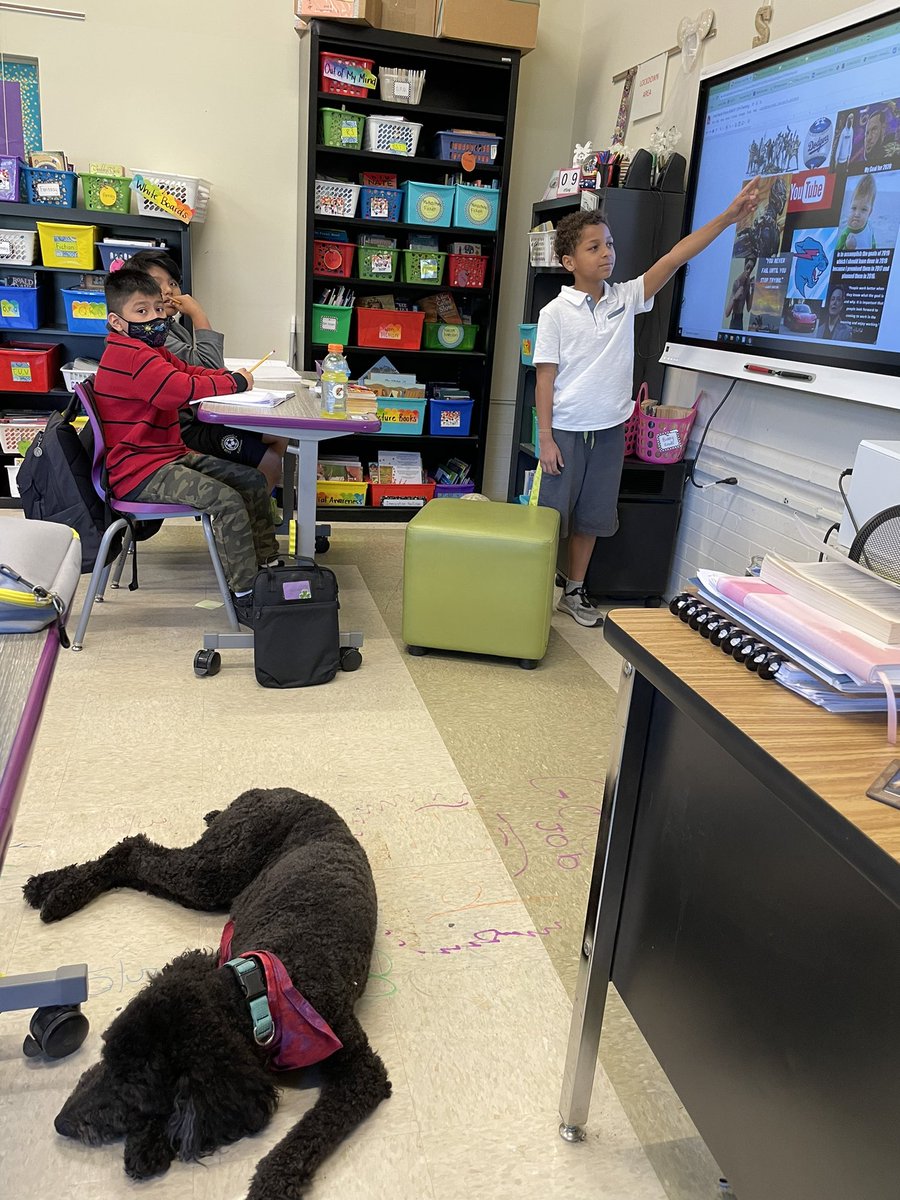 MrsDierking's tweet photo. 🐾 Peaches agrees: Vision Boards show how small changes can make a BIG impact! https://t.co/Q9XHmL6RPA