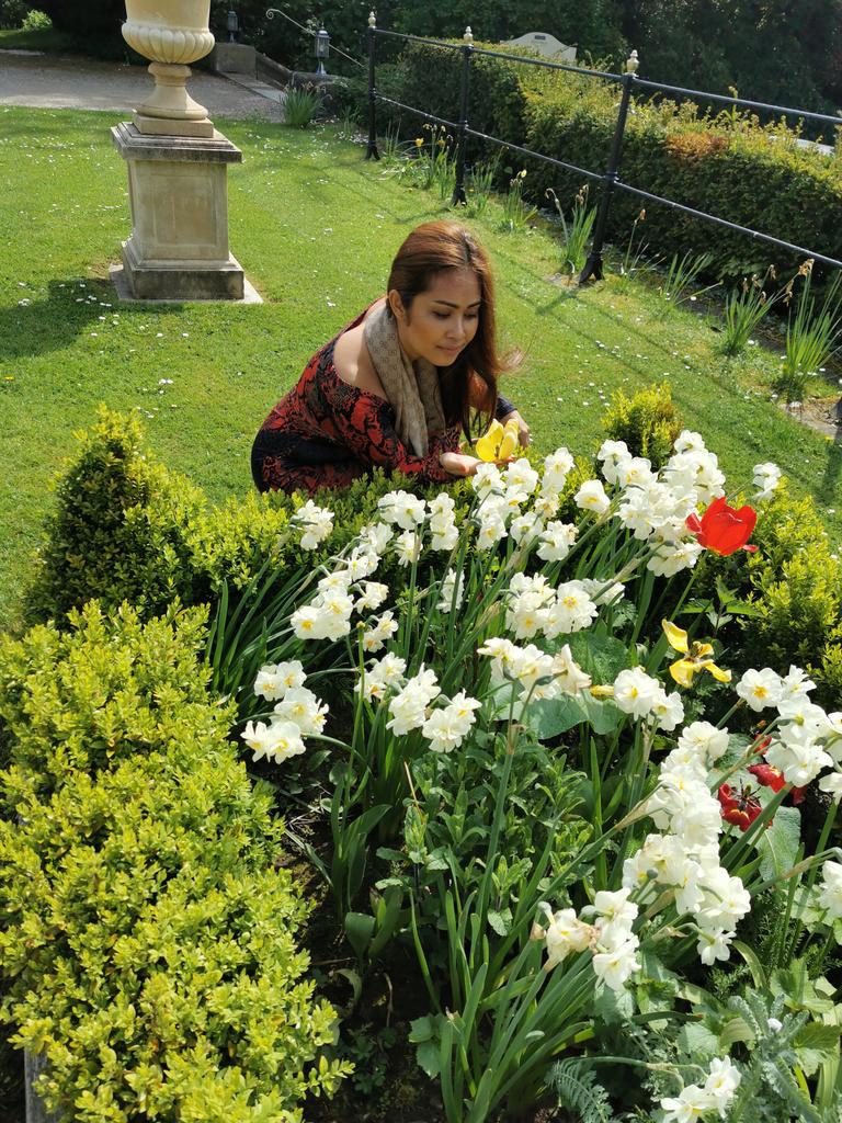 harber_lord's tweet photo. Spring flowers in our garden #spring #Flowers https://t.co/AnF2d62Xrc