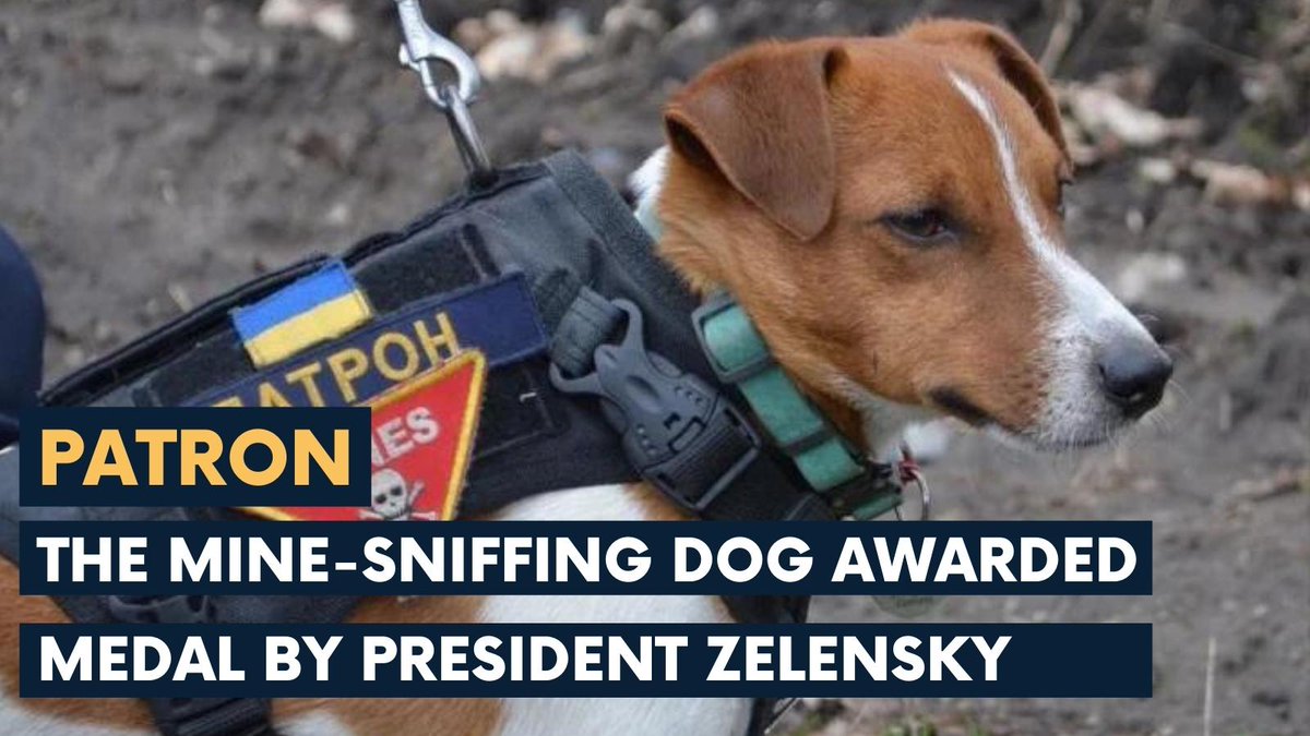 One Agency Recruitment tweet media