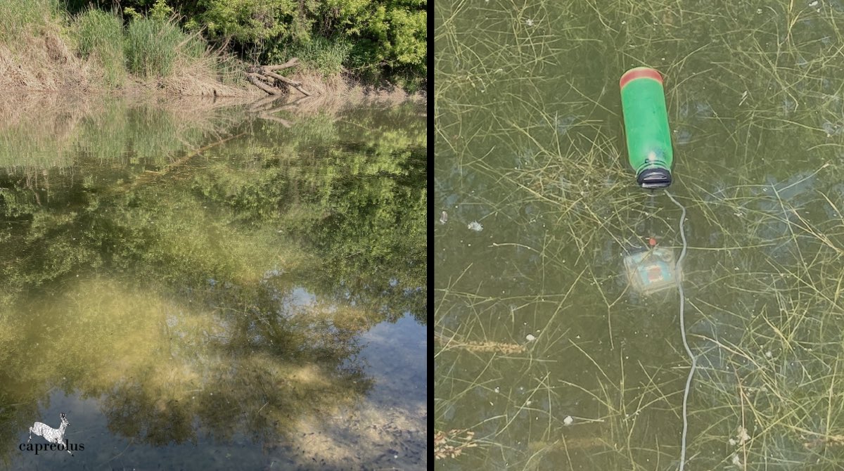 #Hydromoth setup for our mobil freshwater ecoacoustic monitoring. What are your settings underwater #audiomoth crowd? #tech4wildlife