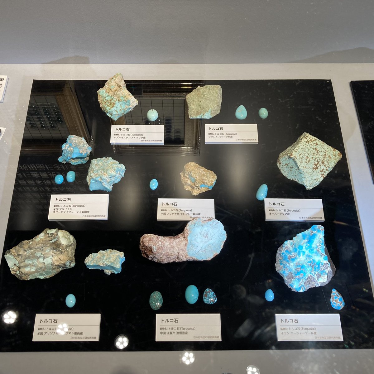 rhinoduck's tweet photo. 国立科学博物館の特別展 宝石に行ってきました。宝石の大きさや色の豊富さに驚かされました。
夜間に見に行きましたが宝石の雰囲気と合っていてよかったです。 https://t.co/SVKjn3Hfg1