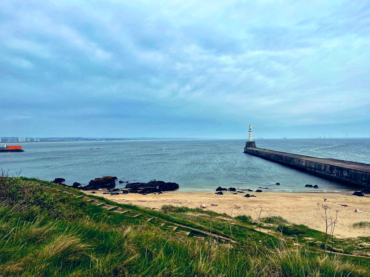 NatalieAHood's tweet photo. It’s not as nice a day in #Aberdeen today as it was yesterday #MondayMotivation was spent clocking up my walking miles for the kiltwalk again &amp; I have honestly never seen as many dolphins at once as there is out today 😍 🐬 😁 #DolphinsABDN https://t.co/JAJYhWFxb4
