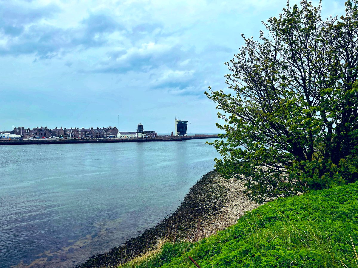 NatalieAHood's tweet photo. It’s not as nice a day in #Aberdeen today as it was yesterday #MondayMotivation was spent clocking up my walking miles for the kiltwalk again &amp; I have honestly never seen as many dolphins at once as there is out today 😍 🐬 😁 #DolphinsABDN https://t.co/JAJYhWFxb4
