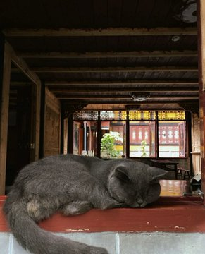 Yuanming Palace B&amp;B is also very good