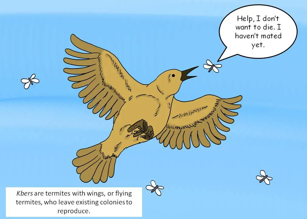 bhogtoram99's tweet photo. Issue 336: love is in the air
#ujlercomics #ujlershillong #kber #birds #insects #love #instagramcomics #webtoon https://t.co/oI8tQINDQl