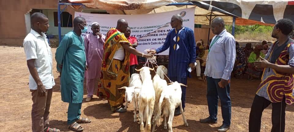 ONG_Amedd's tweet photo. Remise de béliers race Balibali (Géniteur) aux femmes productrices de Bloc metocour (bloc multi nutritionnel) dans la commune de #Ngountjina, #ZANGASSO, et #Farakala dans le cadre du projet ÉLEVAGE/#PACBAO financé par la #CEDEAO. #AMEDD2022 https://t.co/nBs5U7LsWH