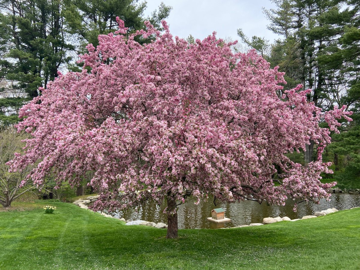 Happy Monday! #SpringVibes #landscape