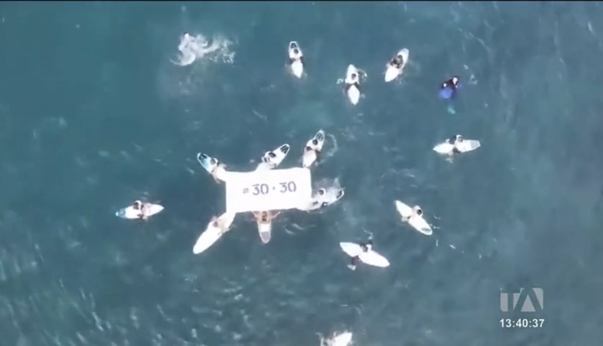 diegoanazco1's tweet photo. Por 3 días el #TongoReef, en #Galapagos ,se convirtió en el epicentro del #Surf🏄🏼‍♀️🏄‍♂️. 

Aunque la copa se la llevó merecidamente #Peru, todos ganaron 🥇. 

Reporte de @Teleamazonas 👉🏽https://t.co/PIUNqDXDLD https://t.co/TKQcAL4A8L