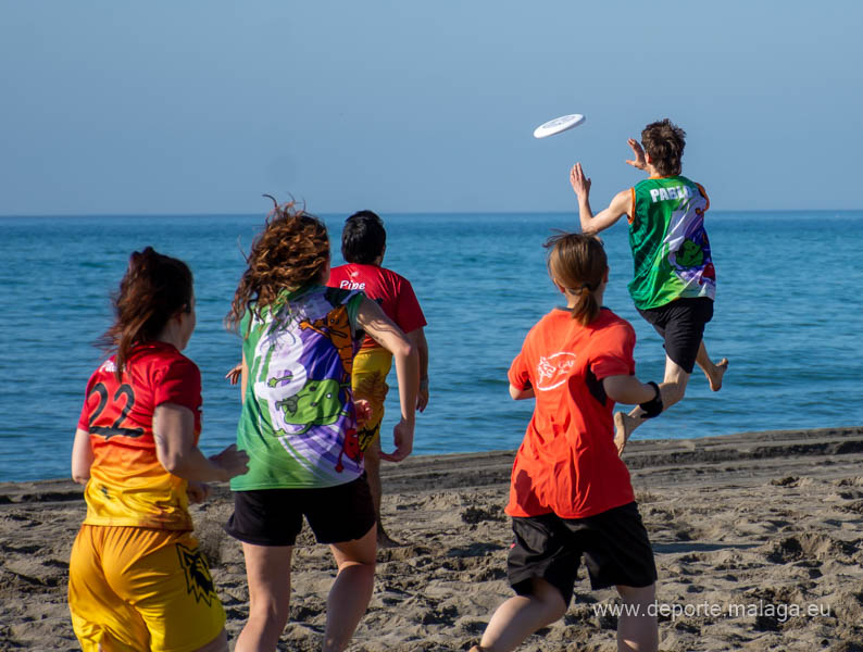 deportemalaga's tweet photo. Ya están publicadas las espectaculares imágenes tomadas durante la celebración de la #copadelsol #ultimate #frisbee

👉 https://t.co/kIYsIpWtaX

@malaga 
@malagacomotq 
#deportemalaga https://t.co/qoEbe0Aqov