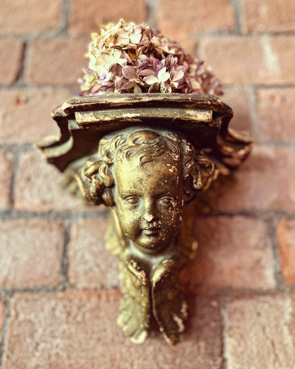 tiny_vintage's tweet photo. Oh fabulous French vintage cherub wall sconce, I could gaze at you all day…stop with your cuteness
#myeclecticmix #retrohome #myhomedecor #gatheredstyle #frenchvintage #treasurehunting #oldstuff #giftgiving #vintageseller #curated #etsyvintageshop https://t.co/lMTUgVulg3