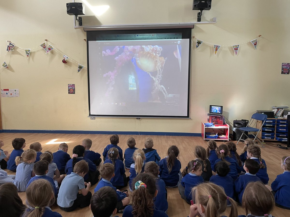LlanfoistPri's tweet photo. Reception and Year 2 were treated to a virtual visit from @NMAPlymouth this morning as part of their topics on oceans and water. We learned so many facts and found out lots of new things. Diolch yn fawr iawn to Becky for showing us around. #ethicalinformedcitizens https://t.co/iWZWybL3Tg