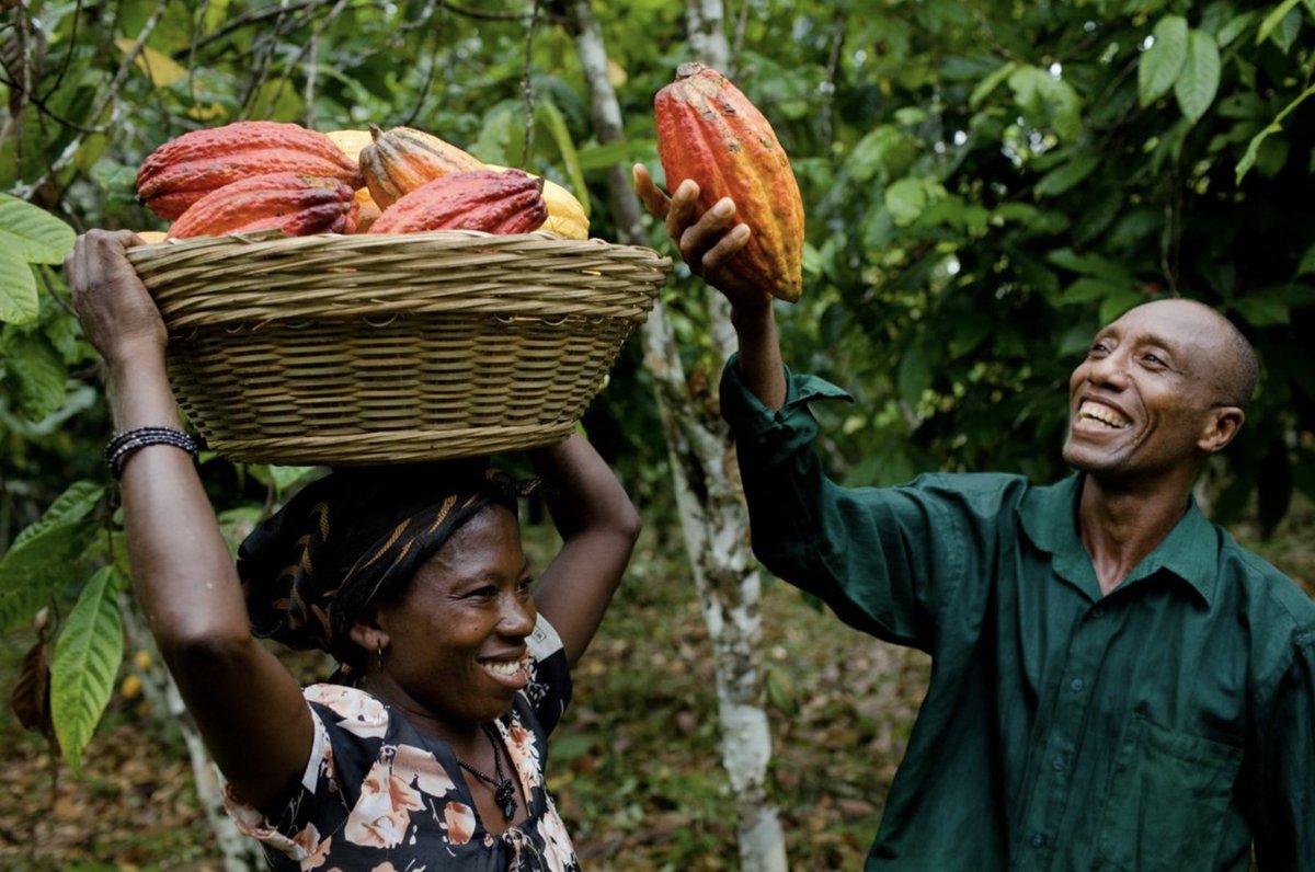 🔊 This Thursday we'll host a webinar session in partnership with <a href="/WUR_WCDI/">Wageningen Centre for Development Innovation</a> which will delve into the production and trade of international commodities, with a specific focus on #coffee and #cocoa.

🗓️ 12 May at 13.00 CET

More info via link below ⬇️

cutt.ly/iG5yuHQ